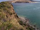 thumbs/NZ_Riki_0126.jpg