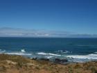thumbs/NZ_Riki_0128.jpg
