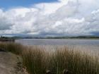 thumbs/NZ_Riki_0135.jpg