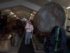 thumbs/NZ_Riki_0136.jpg