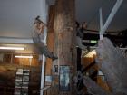 thumbs/NZ_Riki_0137.jpg