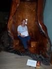 thumbs/NZ_Riki_0140.jpg