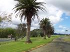 thumbs/NZ_Riki_0154.jpg