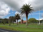 thumbs/NZ_Riki_0155.jpg