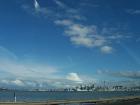 thumbs/NZ_Riki_0157.jpg