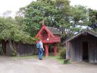 thumbs/NZ_Riki_0169.jpg