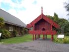thumbs/NZ_Riki_0171.jpg