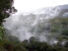 thumbs/NZ_Riki_0177.jpg