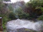 thumbs/NZ_Riki_0178.jpg