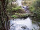 thumbs/NZ_Riki_0180.jpg