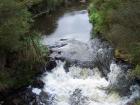 thumbs/NZ_Riki_0181.jpg