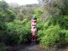 thumbs/NZ_Riki_0183.jpg