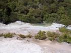 thumbs/NZ_Riki_0185.jpg