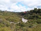 thumbs/NZ_Riki_0186.jpg