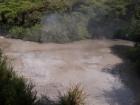 thumbs/NZ_Riki_0188.jpg