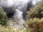 thumbs/NZ_Riki_0191.jpg