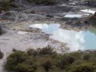 thumbs/NZ_Riki_0193.jpg