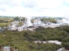 thumbs/NZ_Riki_0194.jpg