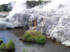 thumbs/NZ_Riki_0201.jpg