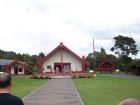 thumbs/NZ_Riki_0203.jpg