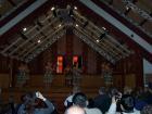 thumbs/NZ_Riki_0206.jpg