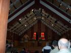 thumbs/NZ_Riki_0208.jpg