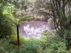 thumbs/NZ_Riki_0215.jpg