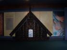 thumbs/NZ_Riki_0218.jpg