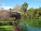thumbs/NZ_Riki_0219.jpg