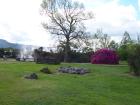 thumbs/NZ_Riki_0221.jpg