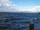 thumbs/NZ_Riki_0224.jpg