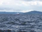 thumbs/NZ_Riki_0225.jpg
