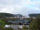 thumbs/NZ_Riki_0229.jpg
