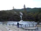 thumbs/NZ_Riki_0230.jpg
