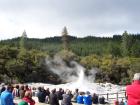 thumbs/NZ_Riki_0232.jpg