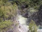 thumbs/NZ_Riki_0243.jpg