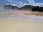 thumbs/NZ_Riki_0252.jpg