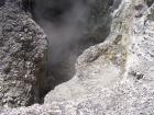 thumbs/NZ_Riki_0254.jpg