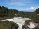 thumbs/NZ_Riki_0256.jpg