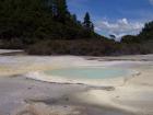 thumbs/NZ_Riki_0258.jpg