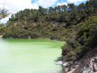 thumbs/NZ_Riki_0259.jpg