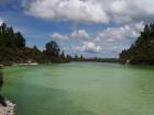 thumbs/NZ_Riki_0261.jpg