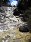 thumbs/NZ_Riki_0263.jpg