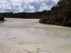 thumbs/NZ_Riki_0264.jpg