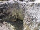 thumbs/NZ_Riki_0265.jpg