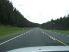 thumbs/NZ_Riki_0270.jpg