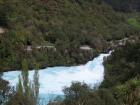 thumbs/NZ_Riki_0271.jpg