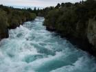 thumbs/NZ_Riki_0272.jpg