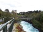 thumbs/NZ_Riki_0273.jpg