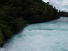 thumbs/NZ_Riki_0274.jpg
